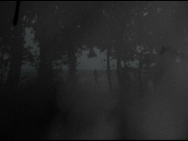http://www.juliensalle.net/files/gimgs/21_lbdvd3.jpg